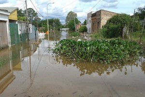 ELLITORAL_142197 |  Télam Concordia, la ciudad más afectada por la crecida del río Uruguay