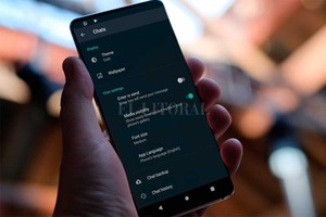 ELLITORAL_288553 |  Gentileza