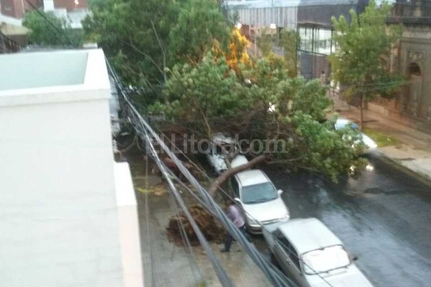 ELLITORAL_145708 |  Periodismo Ciudadano / WhatsApp La zona de calle Saavedra al 2200