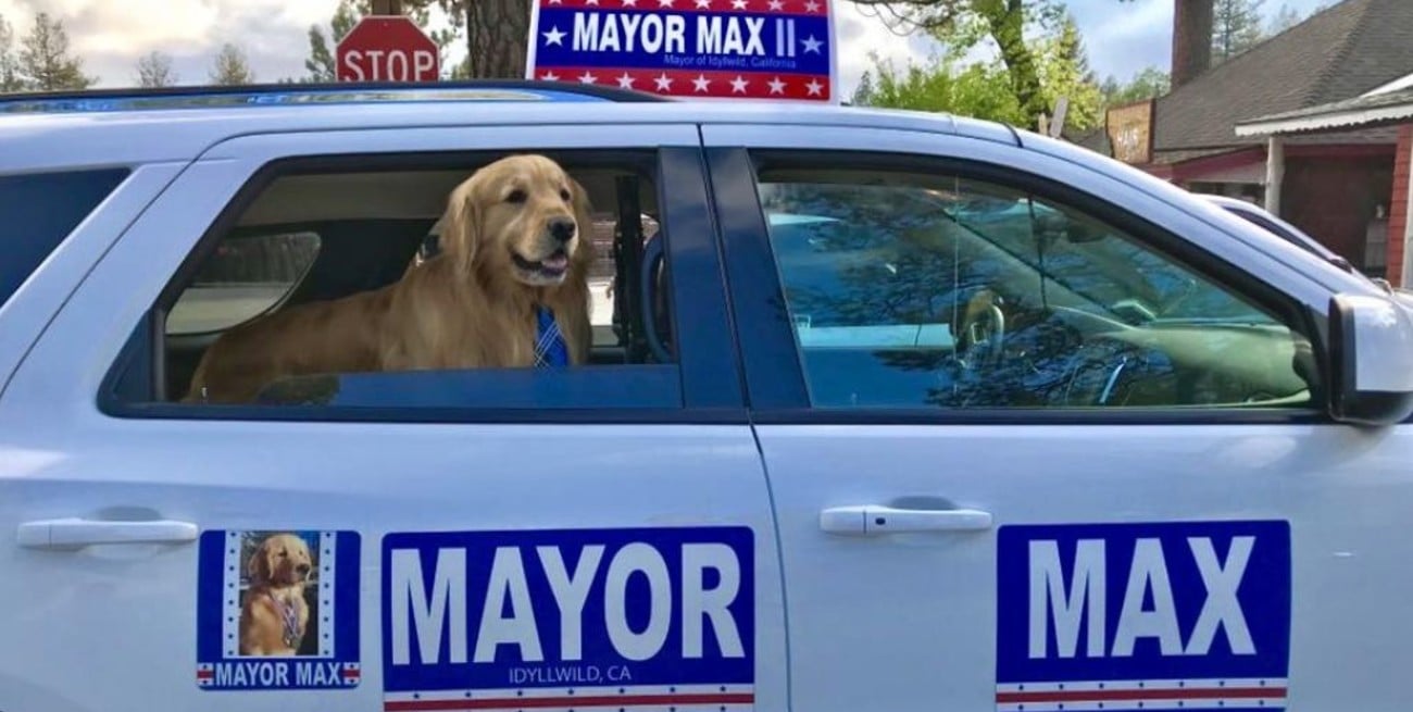 Un pueblo de Estados Unidos eligió como alcalde a un perro
