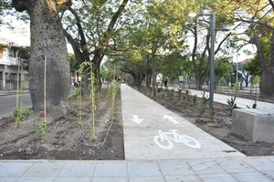 ELLITORAL_244024 |  Manuel Alberto Fabatía