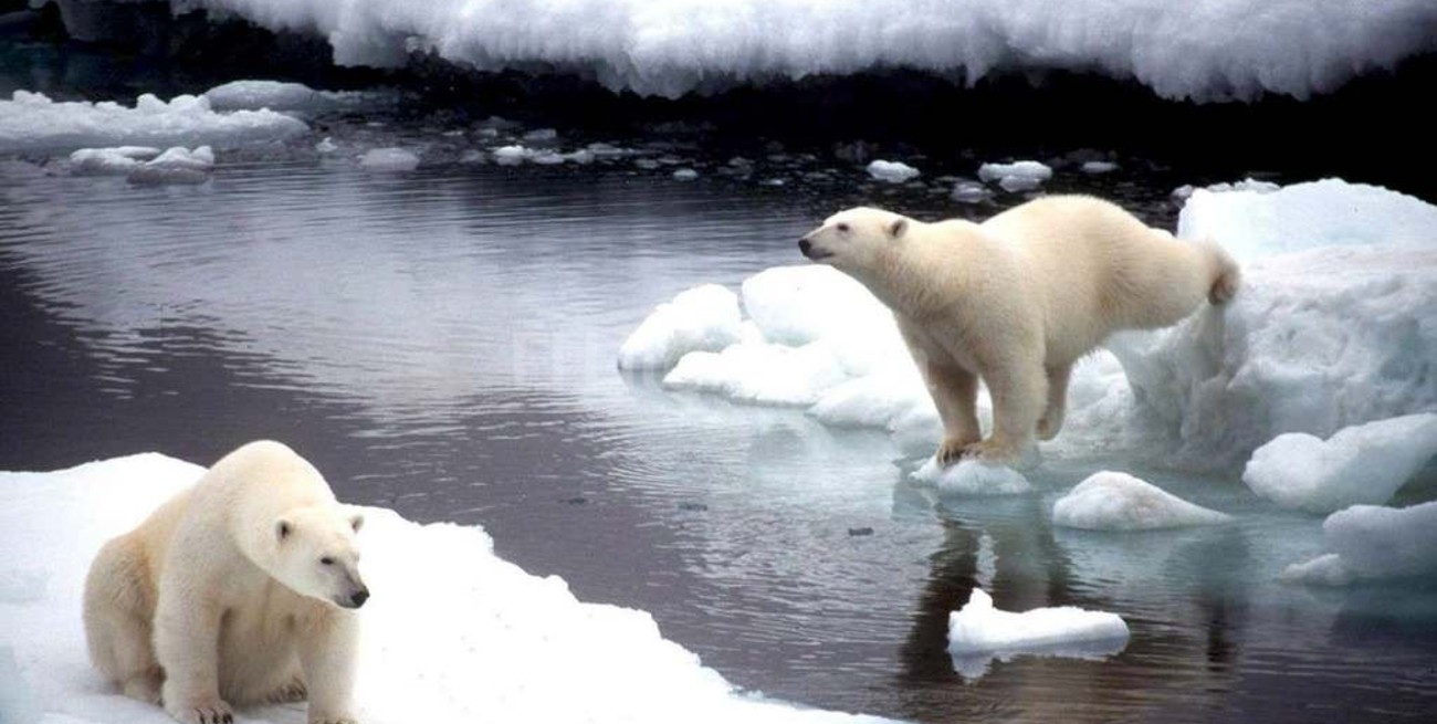 Expertos predicen un deshielo récord en el Ártico este año