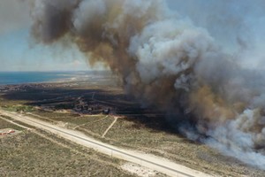 ELLITORAL_278689 |  Gentileza