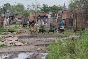 ELLITORAL_271532 |  Imagen ilustrativa