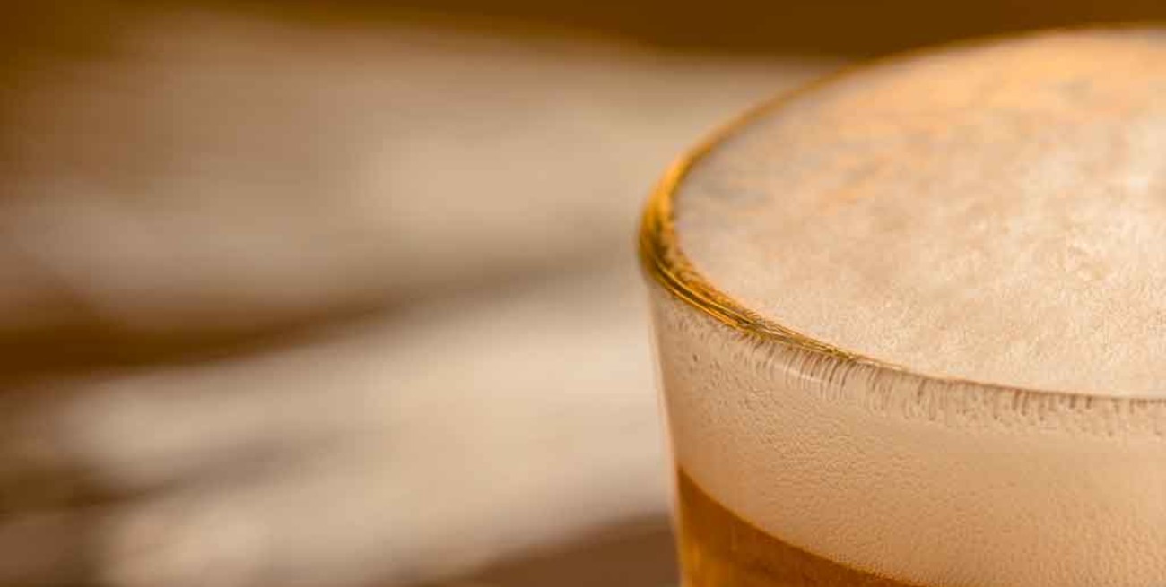 De la mosca, lo mejor: emprendedores santafesinos aprovechan residuos de cerveza para alimentar animales