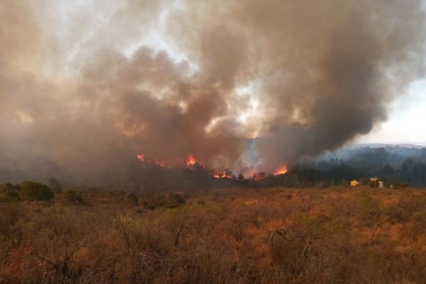 ELLITORAL_411641 |  Gentileza