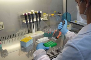 ELLITORAL_419844 |  Archivo El Litoral.