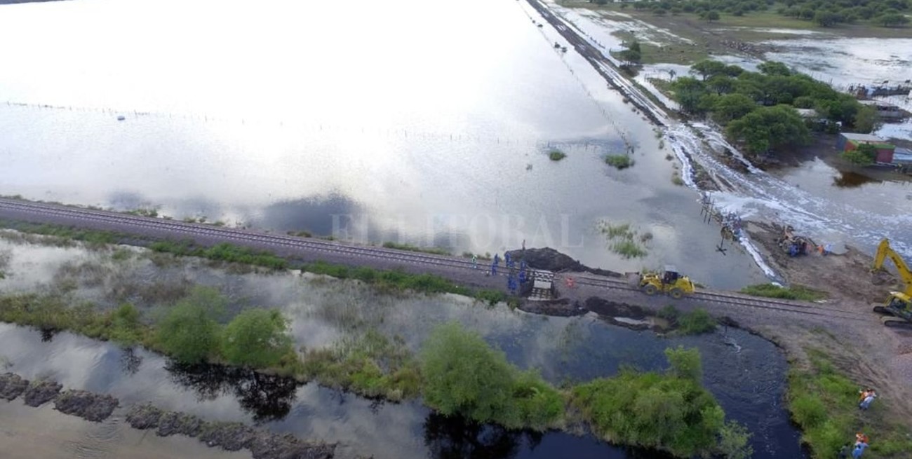Algodón: confirman más de 7.000 hectáreas perdidas por las inundaciones