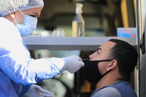 ELLITORAL_382254 |  NA