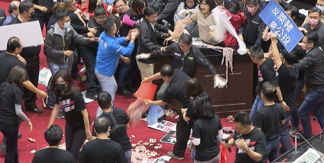 Escándalo en Taiwan: lanzaron "achuras" de cerdo en plena sesión del Congreso
