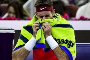 ELLITORAL_225645 |  Internet Engripado, Del Potro debutó con triunfo en Shanghai.