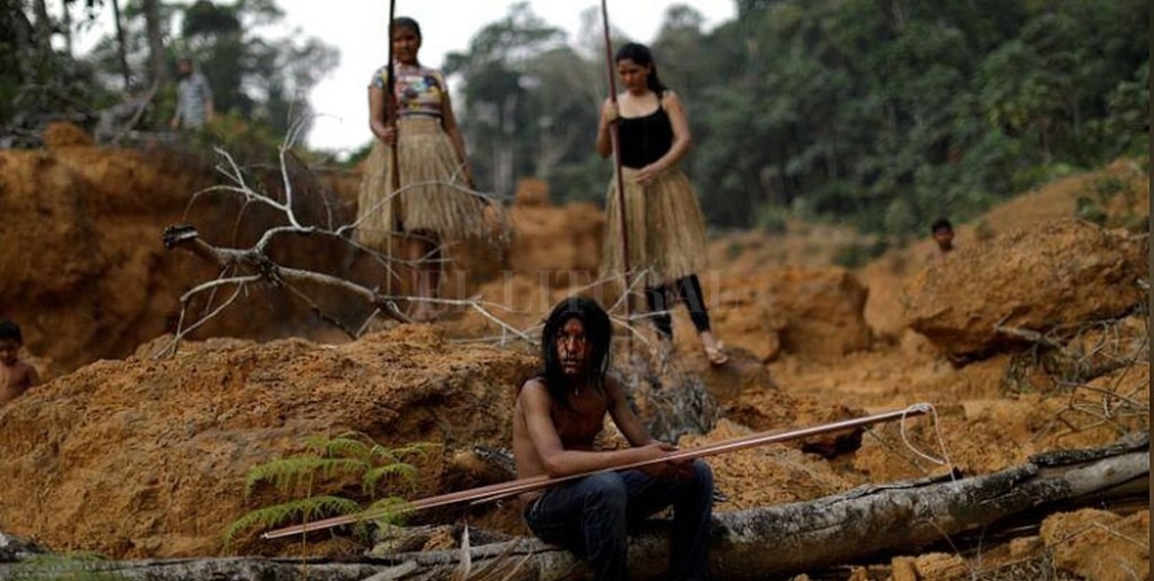 Brasil exportó miles de cargamentos ilegales de madera del Amazonas