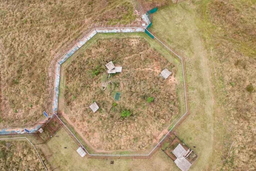 ELLITORAL_350315 |  Gentileza. El Centro de Reintroducción del Yaguareté en el Iberá.