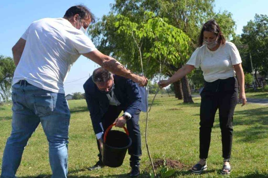 ELLITORAL_341792 |  Gentileza