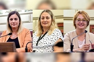 ELLITORAL_361598 |  Gentileza