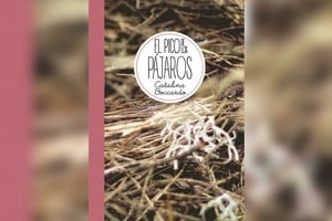 El pico de los pájaros , Catalina Boccardo, Barnacle, Buenos Aires, Argentina. 2021 (28 Págs.)