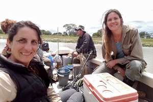 Gentileza La técnica de secuenciación masiva de genes nos permitió encontrar una gran diversidad de especies de bacterias , destacaron Huber y Devercelli.