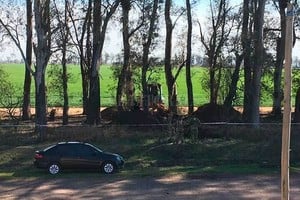 ELLITORAL_259607 |   Captura