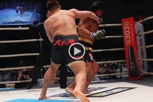 ELLITORAL_365441 |  Gentileza