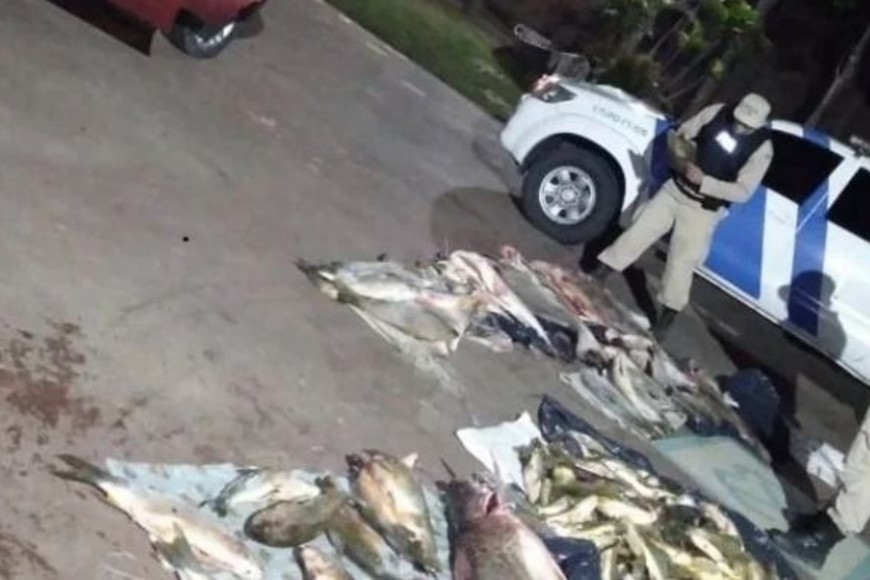 ELLITORAL_395358 |  Gentileza