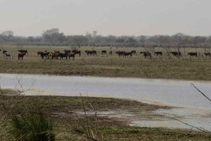Gentileza El Paraná No Se Toca