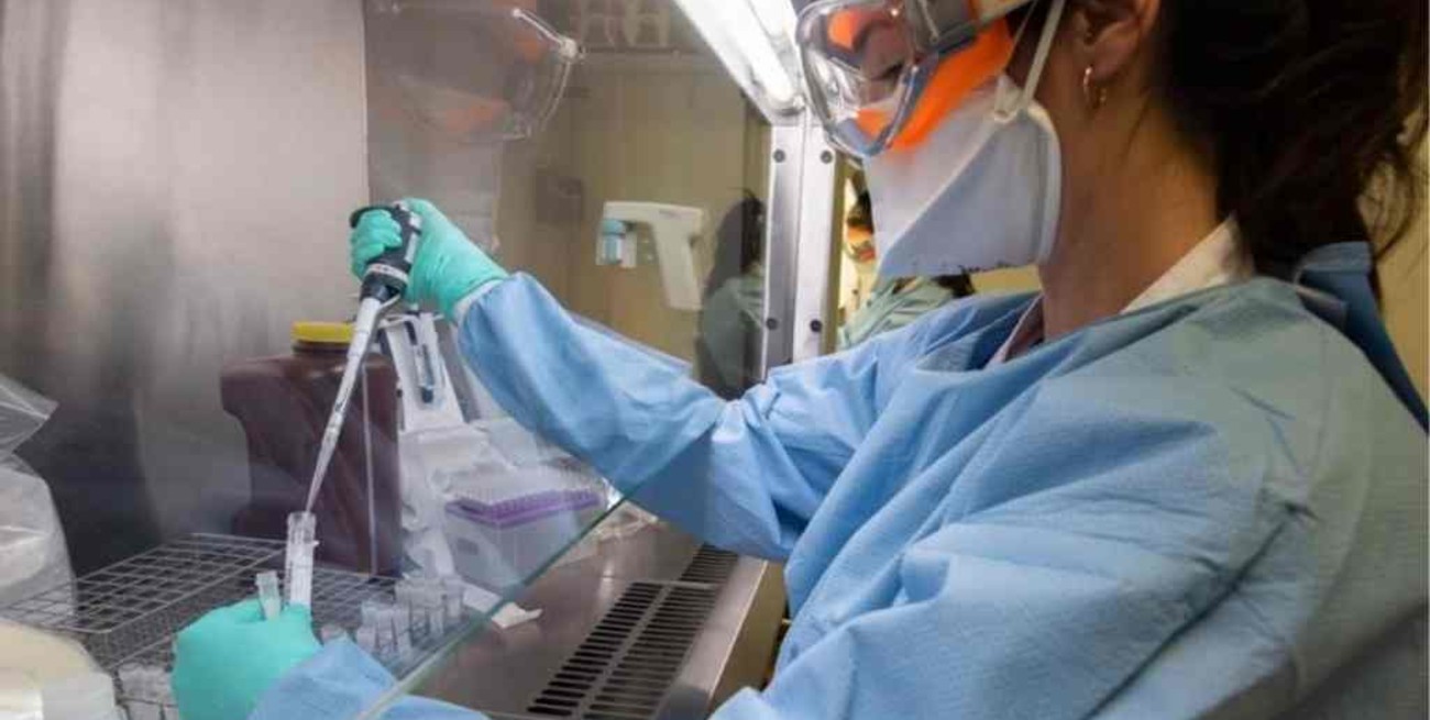 Financian con 37 millones de pesos ocho proyectos de investigación para frenar el coronavirus