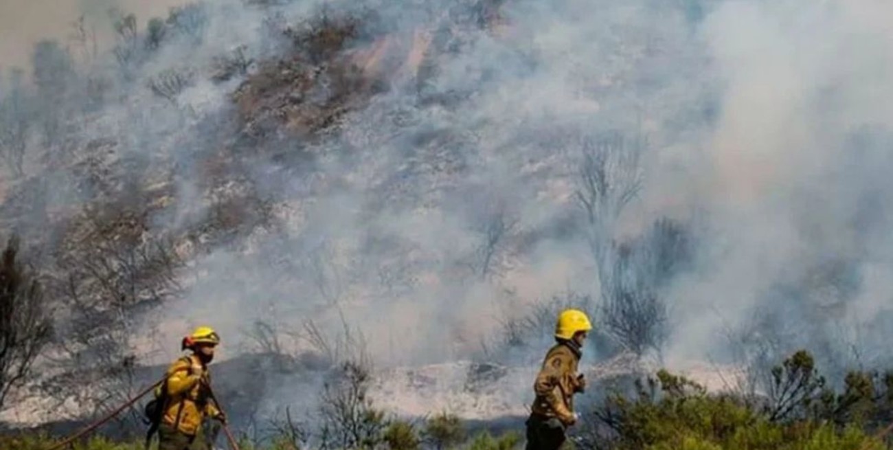 lmputan a 6 personas por los incendios de los bosques nativos en El Bolsón 