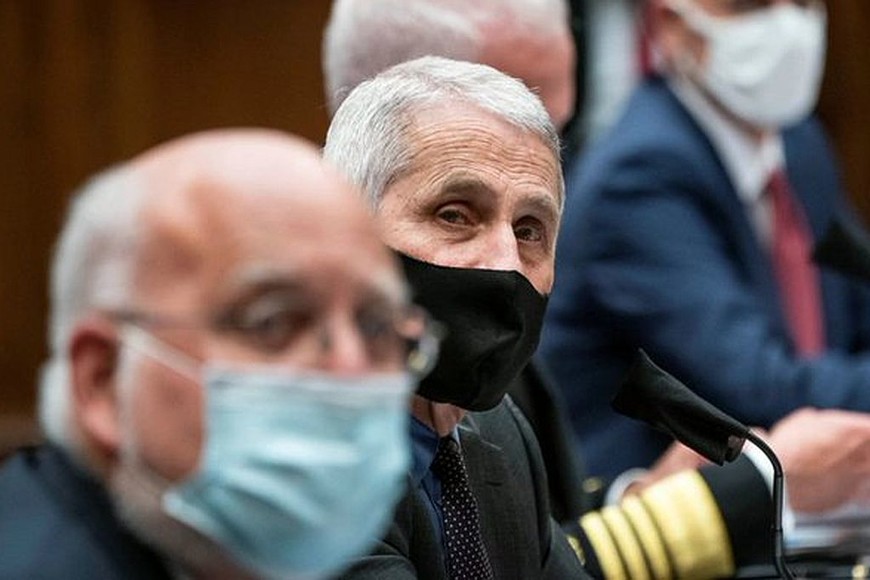 ELLITORAL_309403 |  Reuters El doctor Anthony Fauci es el principal experto en enfermedades infecciosas del Gobierno de Estados Unidos.
