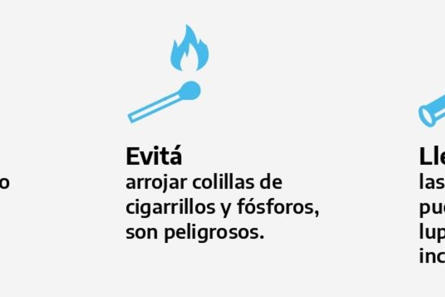 ELLITORAL_352447 |  SNMF