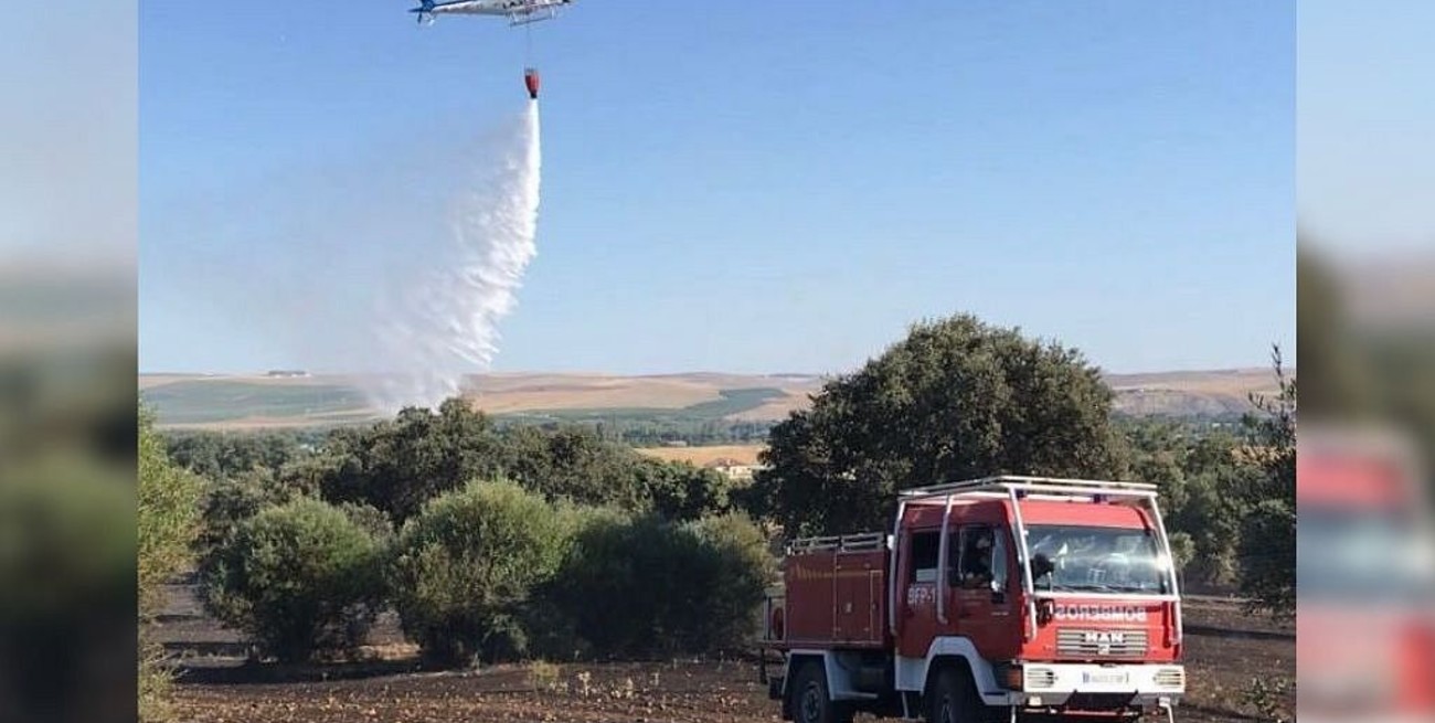 Bomberos controlan dos incendios forestales que "habrían sido causados intencionalmente"