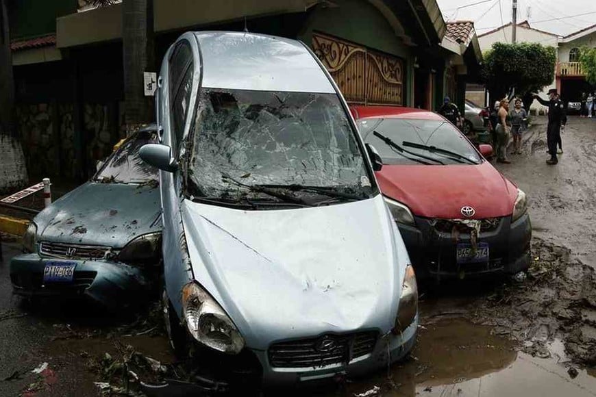 ELLITORAL_304961 |  Gentileza