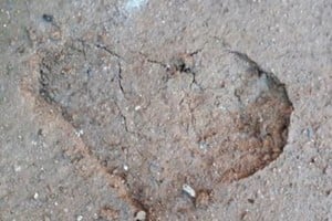 ELLITORAL_280125 |  Gentileza Uno de los agujeros que se encontraron en Machu Picchu, tras la irrupción de los turistas en la ciudadela.