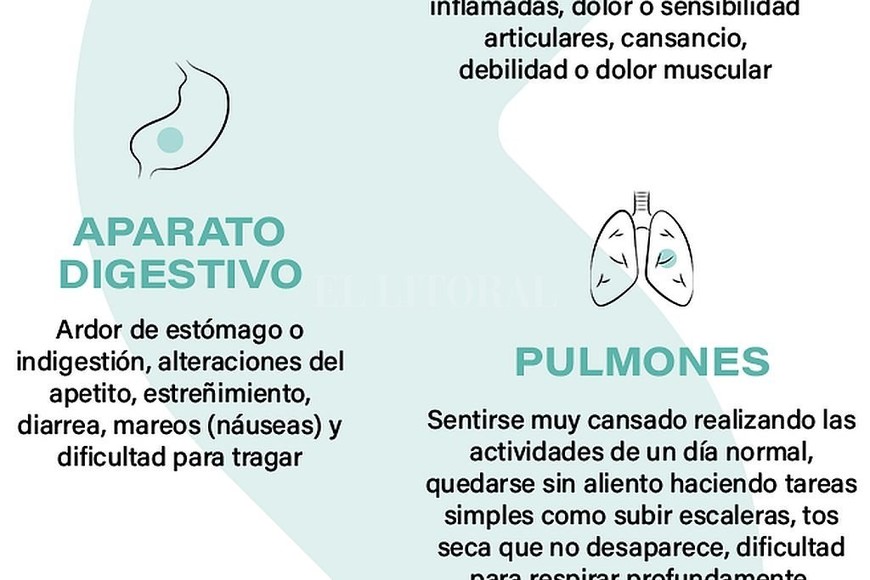 ELLITORAL_310835 | Captura de pantalla