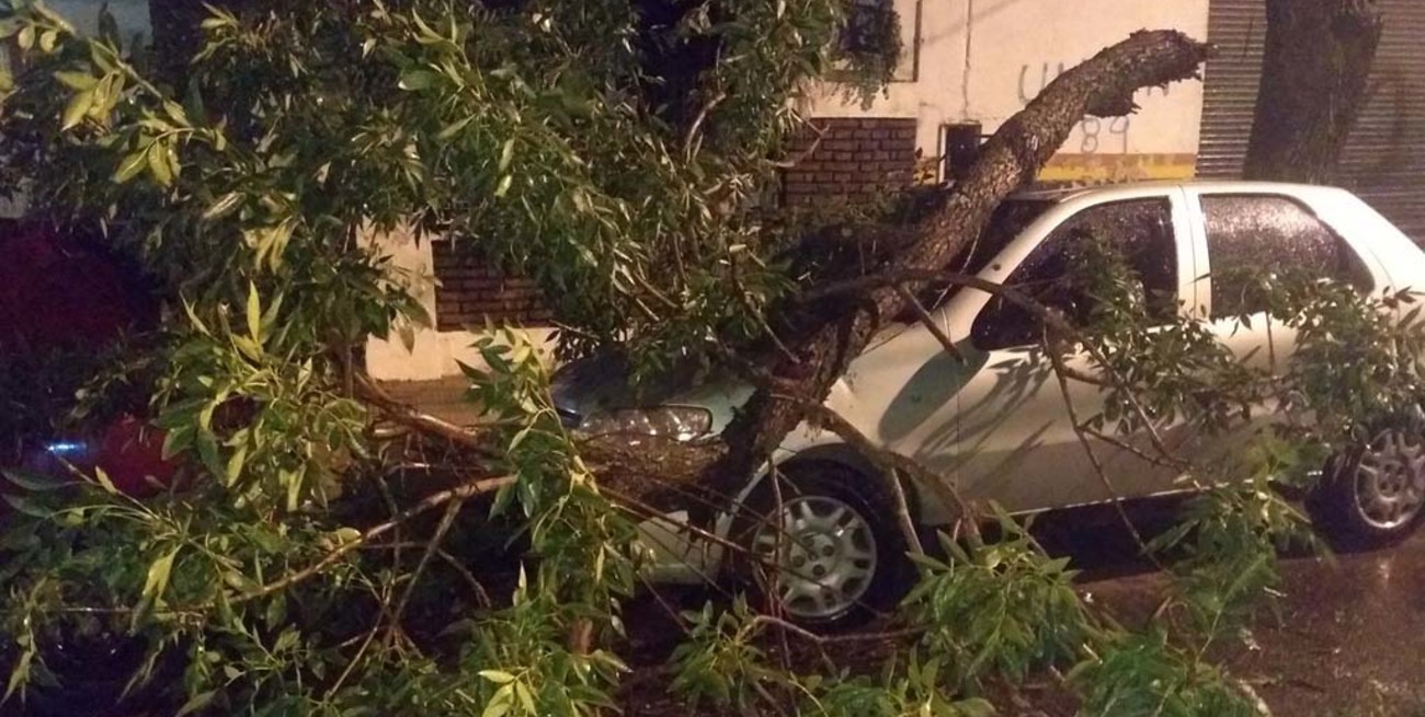 Una rama se desprendió por la tormenta y cayó sobre un auto