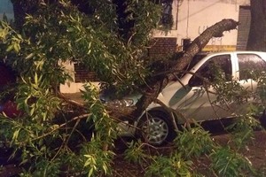 ELLITORAL_209307 |  Kike Arrieta - Twitter: @movil_kike