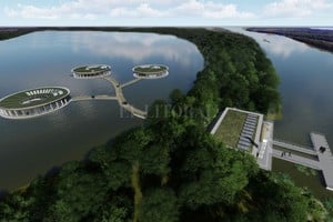 Gentileza Irupé. Es la flor que crece en las lagunas internas y bañados del delta, y fueron las que le dieron la idea al proyecto para imitarla, como puede verse en la imagen digital.