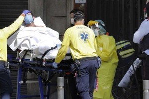 ELLITORAL_318390 |  Gentileza