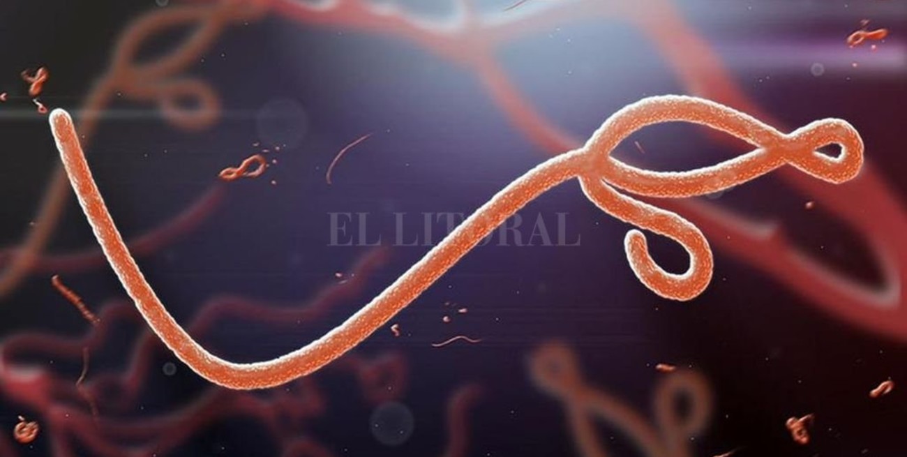 Explosión en un laboratorio de Siberia que guarda virus del ébola y la viruela