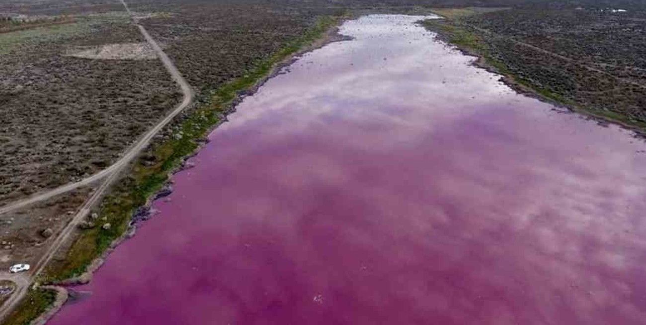 Preocupación en Chubut por la aparición de una "laguna rosada": denuncian daño ambiental