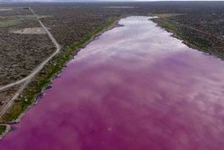 Preocupación en Chubut por la aparición de una "laguna rosada": denuncian daño ambiental