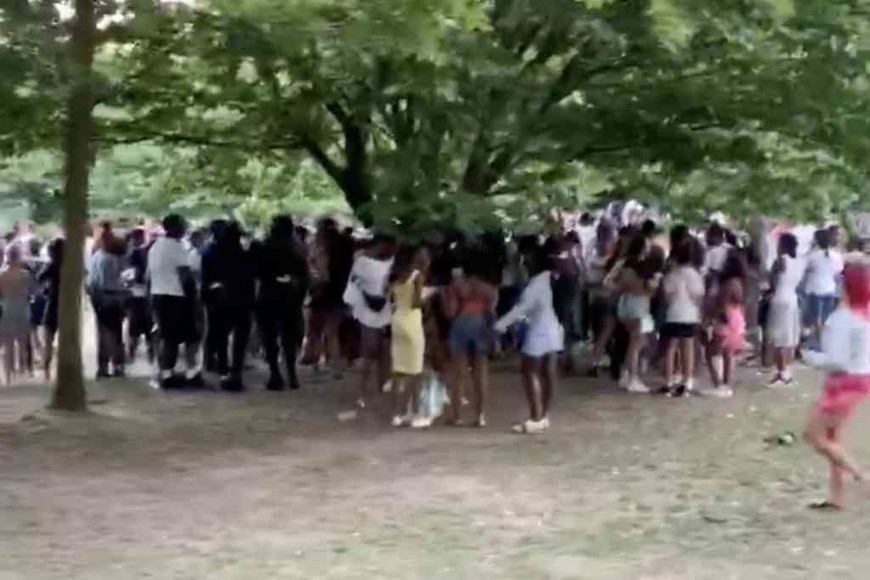 ELLITORAL_310782 |  Gentileza