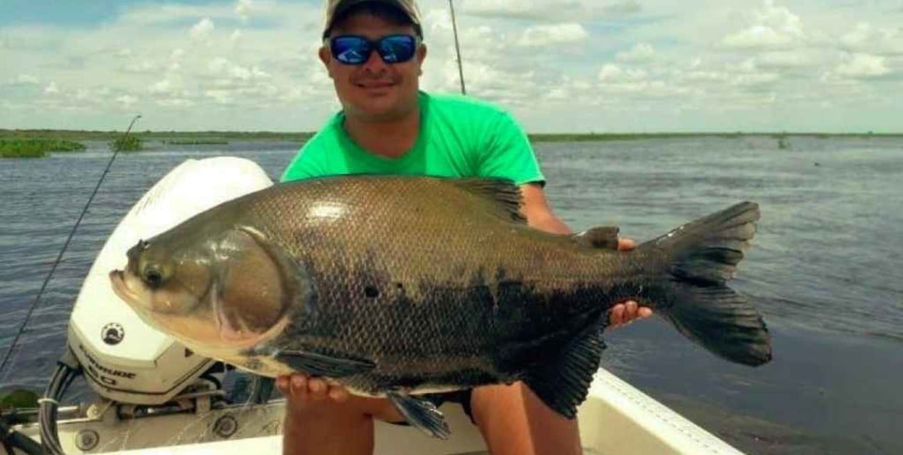 Peces argentinos en jaque por la acuicultura de especies no nativas en aguas brasileñas  