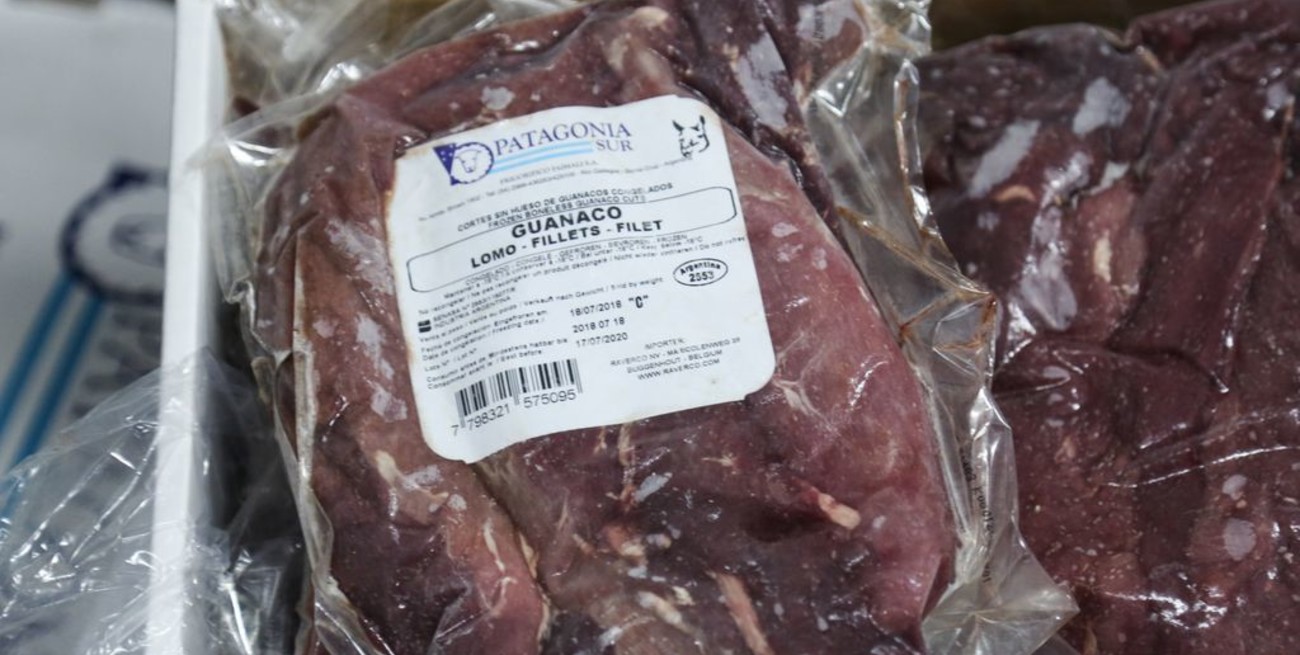  Argentina exporta por primera vez carne de guanaco