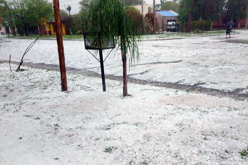 ELLITORAL_273444 |  Gentileza