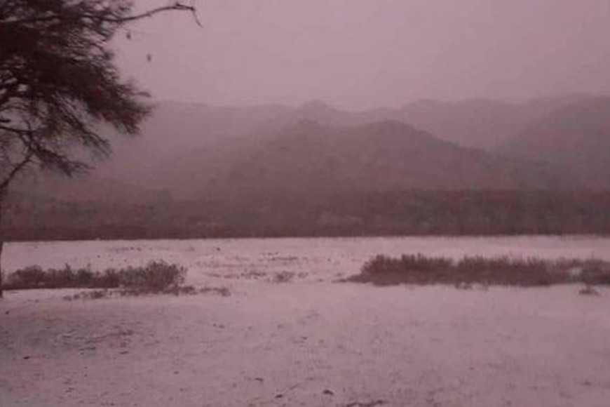 ELLITORAL_383889 |  Gentileza