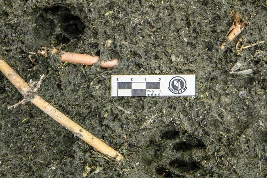 ELLITORAL_316330 | Gentileza