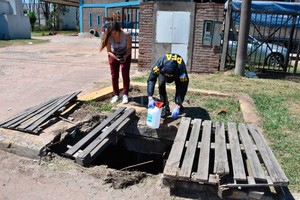 Guillermo Di Salvatore