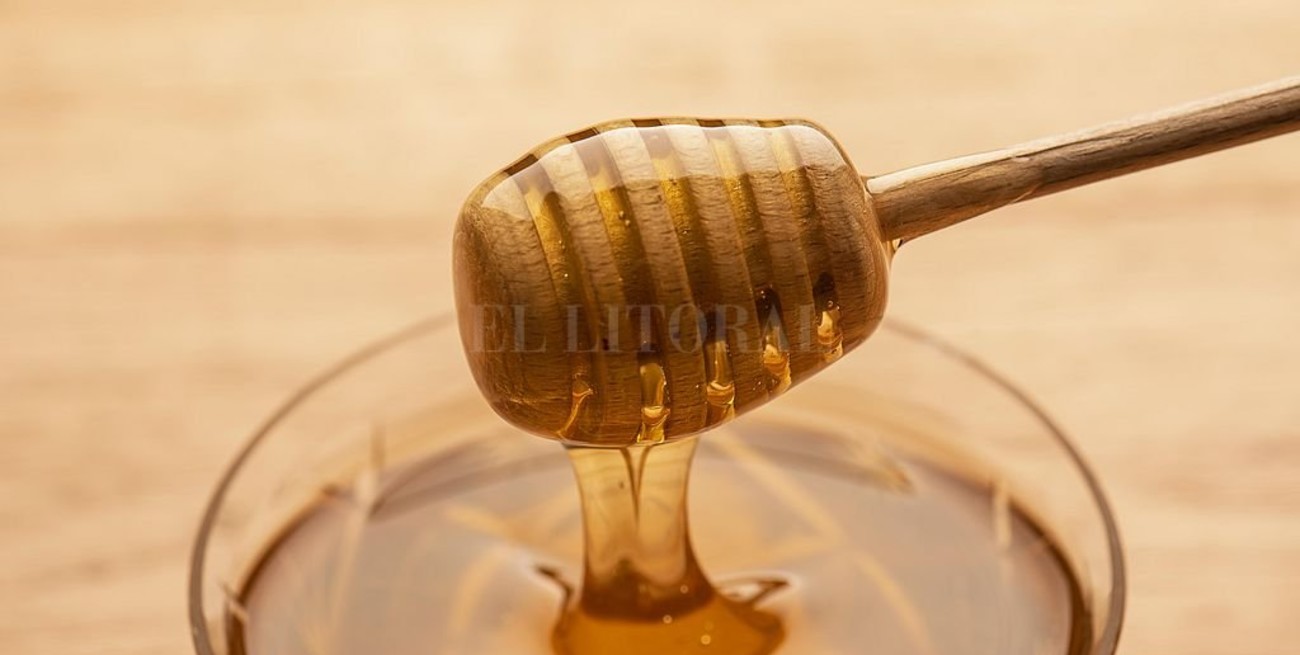 Beneficios y variedades de la miel: productores locales revelan sus secretos