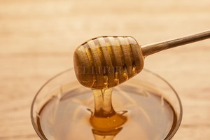 ELLITORAL_247516 |  Gentileza