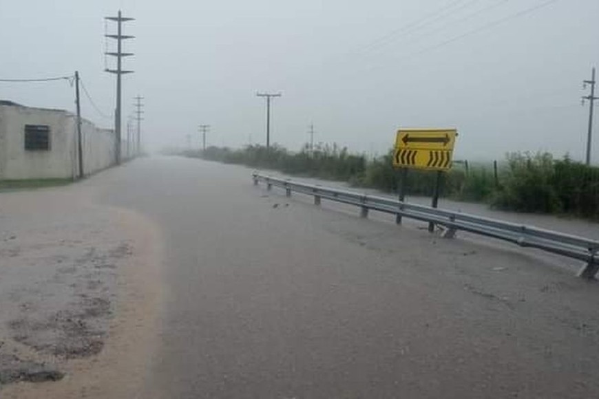 ELLITORAL_365362 |  Gentileza